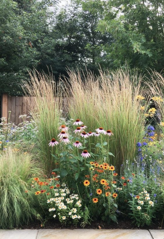 A deep perennial border of tall feather-reed grasses, pink coneflowers, orange rudbeckia and white daisies against a wood fence.